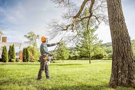 Best Firewood Processing and Delivery  in Otisville, NY