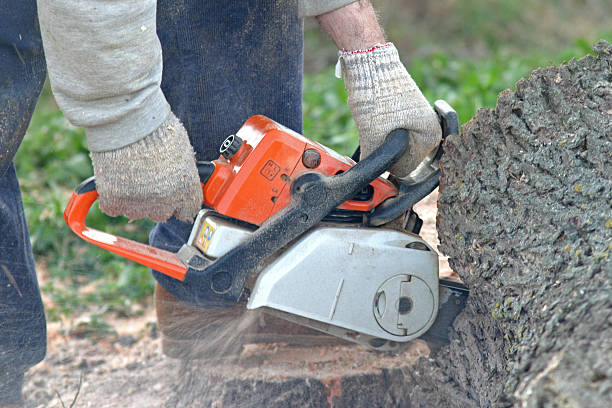 Best Lawn Mowing  in Otisville, NY