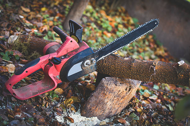 Best Hazardous Tree Removal  in Otisville, NY